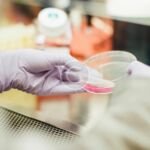 Recent trends shaping the future of pharmacy laboratories